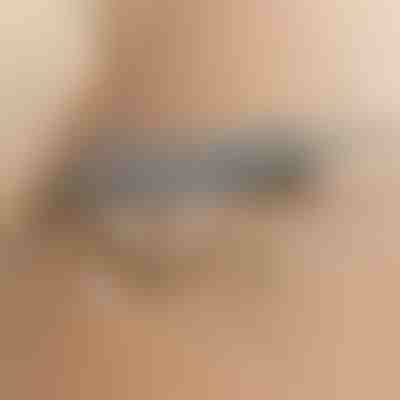 Teleskopowa zmiotka do kurzu | ARTICLEAN