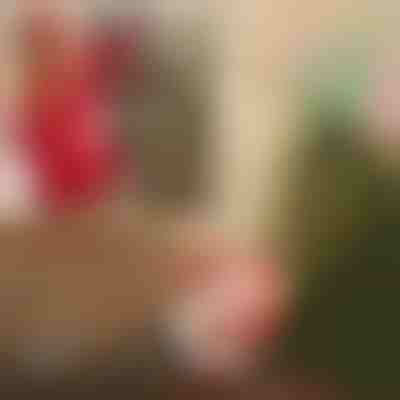 Mikołaj ze spadochronem | SANTASWING