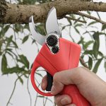 WHIZZPRUNER