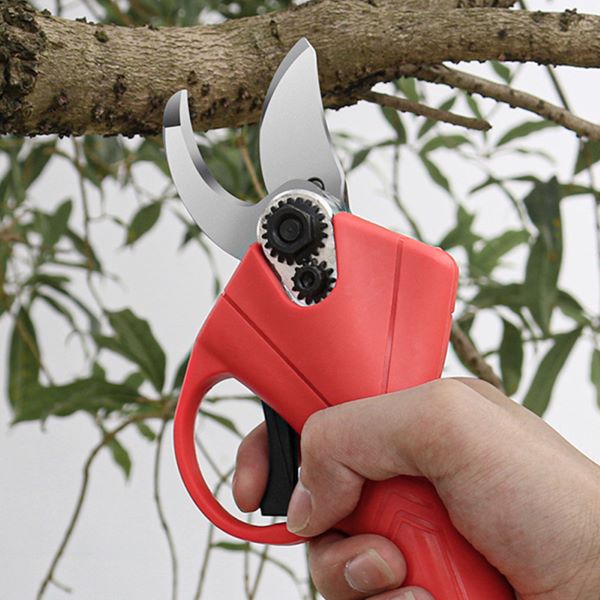WHIZZPRUNER