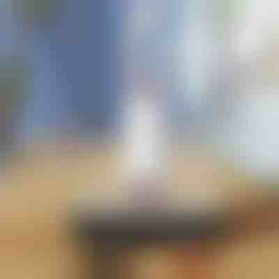 Przenośny czyścik z chłonną gąbką | HANDYMOP