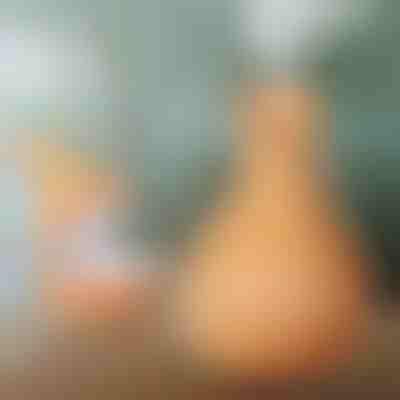 Nawilżacz drewniany | HUMISTER