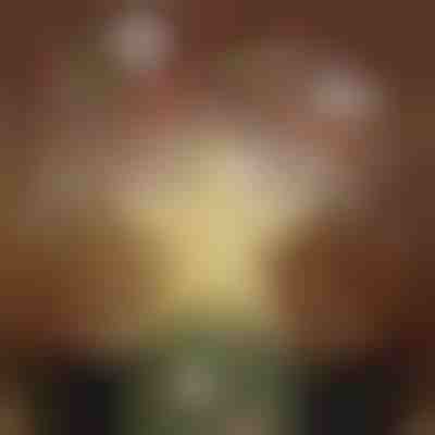 Projektor na czubek choinki | FLAKELITE