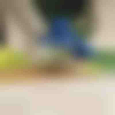 Elektryczna obieraczka do owoców i warzyw | PEELMATIC